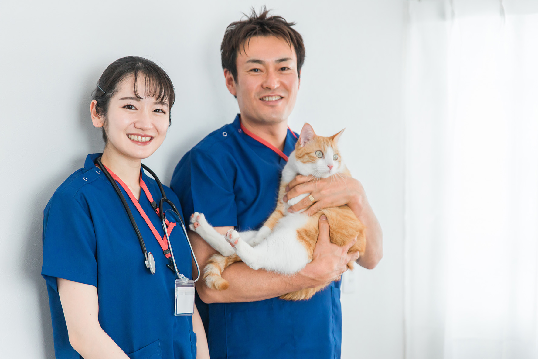回答をお届け